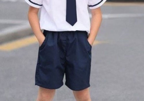 Boys School Uniform Shorts Collection
