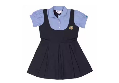 Girls School Uniform Tunics Collection