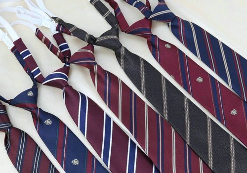 School Uniform Tie Collection